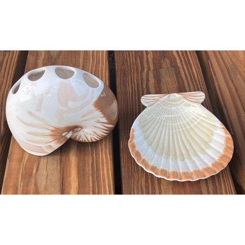 Tiger nautilus shell - tiger,