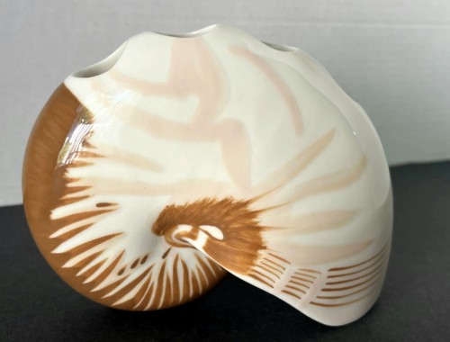 Tiger nautilus shell - tiger,