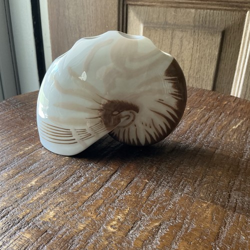Nautilus seashell shaped - nautilus,