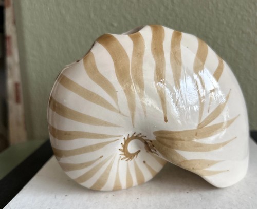 Nautilus sea shell toothbrush - shell,