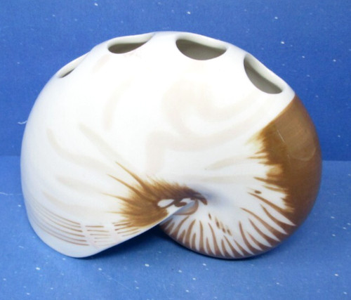 Nautilus sea shell toothbrush - nautilus,