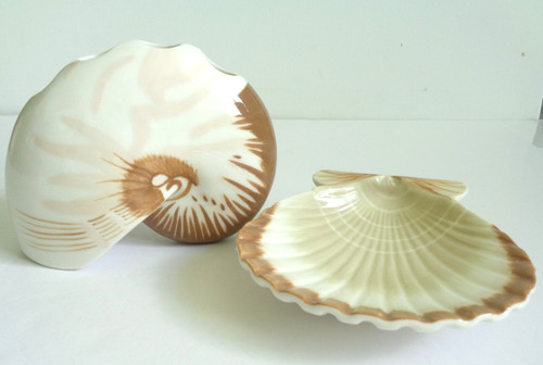 Nautilus shell toothbrush - shell,