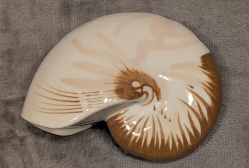 Toothbrush holder nautilus - toothbrush,
